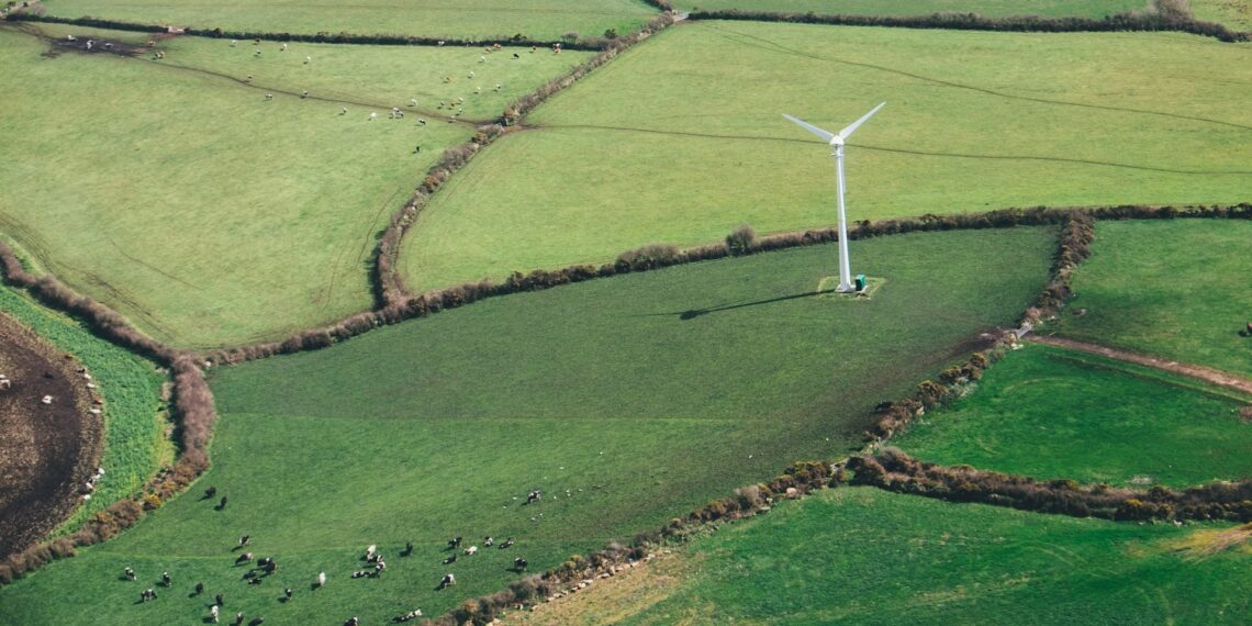 A szélenergia adhatna pénzügyi mentőövet a hazai mezőgazdaságnak a klímaváltozás korában